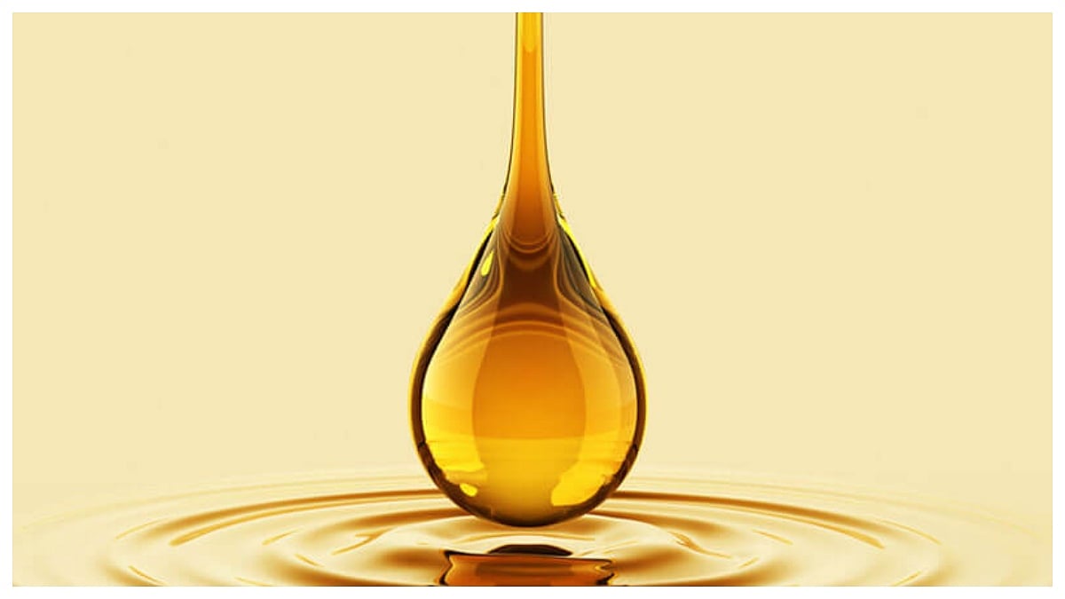 Argentina Consolidates Itself As India’s Most Reliable Supplier Of Quality Oils