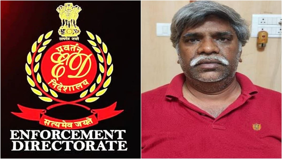 Red Sanders Smuggling: ED Attaches ₹8.6 Crore Assets Linked To International Syndicate Kingpin Abdul Jaffer