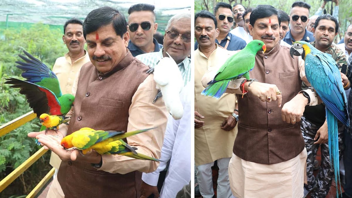 Indore News: CM Mohan Yadav Visits Zoo, Says Madhya Pradesh Has Vast Potential For Wildlife Conservation |