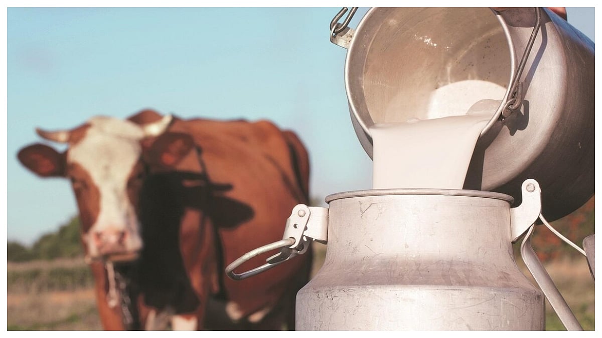 India Maintains Lead In Global Milk Production, Contributing 5% To The National Economy & Employing...