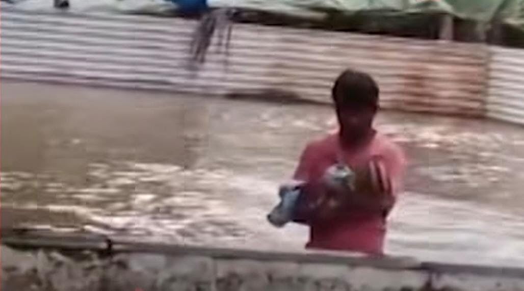 Video: 2-Month-Old Baby Rescued From Raging Solapur Floods As Sina River Swells