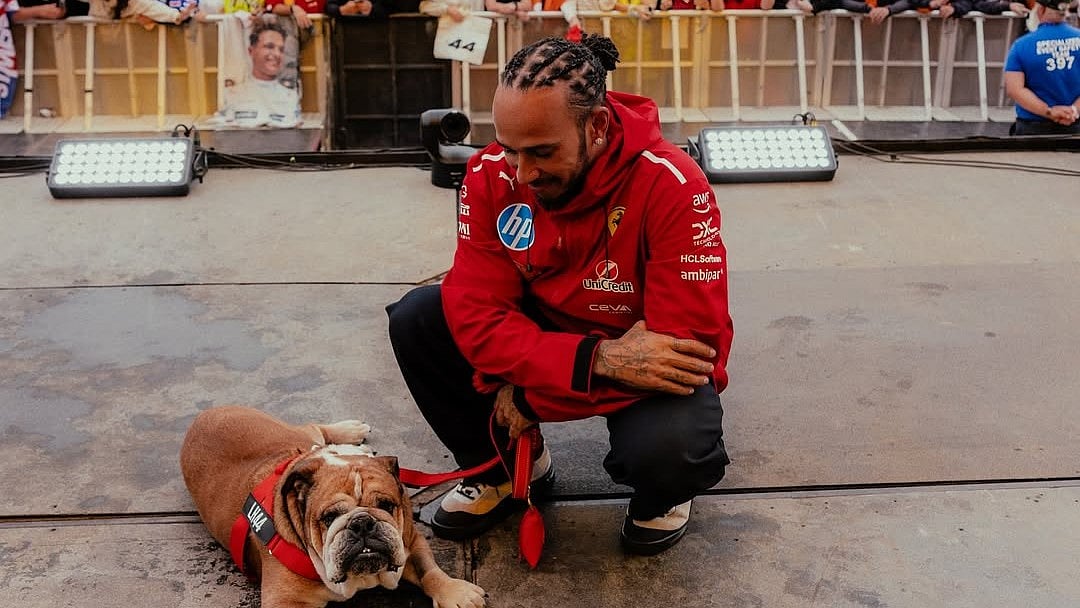 Lewis Hamilton Pays Tribute to Roscoe After Dog's Passing