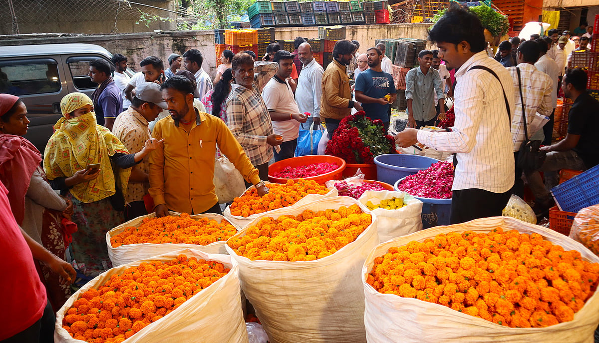 VIDEO: Pune's Flower Market Hit As Marigold Prices Crash Despite Dussehra Demand