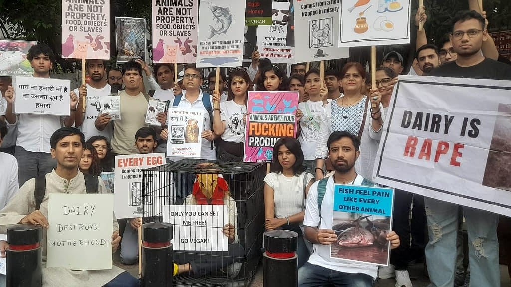VIDEO: Pune Activists Launch 'Freedom For All' Campaign To Champion Veganism