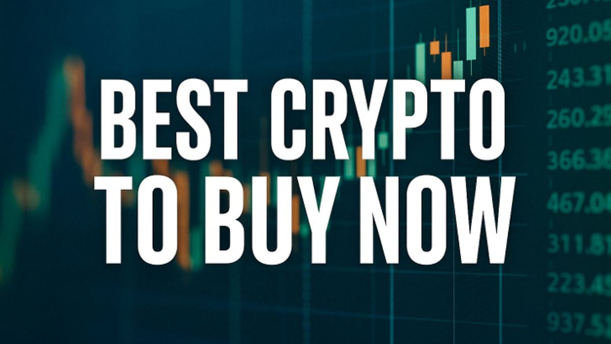 article-image