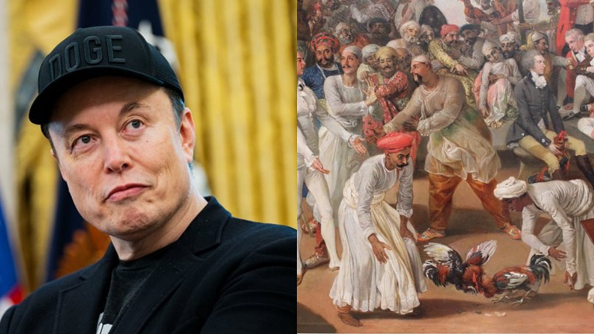 'Kick Tesla & Starlink Out Of India': Elon Musk's Resharing Of 'English Did Not Rule India' Post...