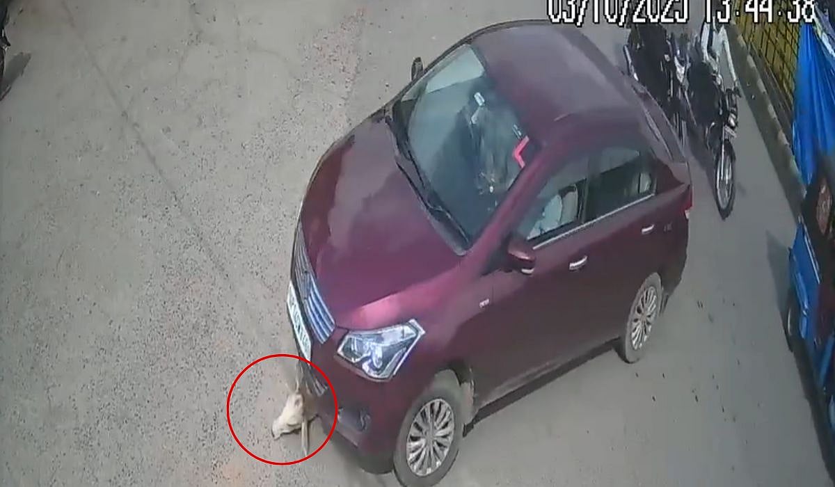 CCTV screengrab | X/@bstvlive