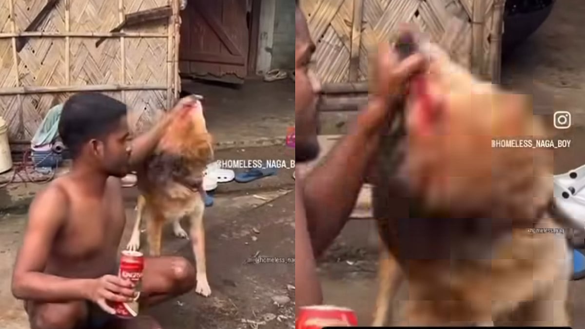 Man Forces Dog To Drink Beer In Nagaland, Netizens Demand Strict Action; Video