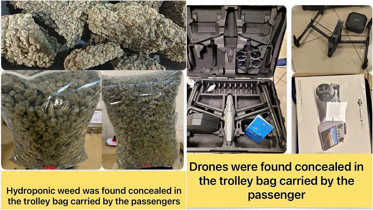 article-image