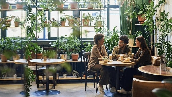 Bhopal Food Corner: 7 New Trendy Restaurants For The Perfect Friends’ Night