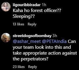 Comments
