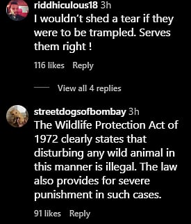 Comments