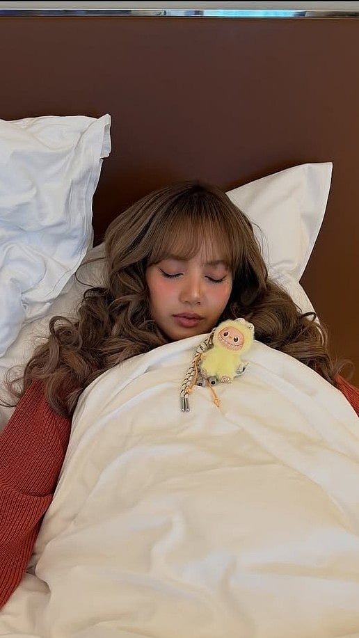 See! Lisa's Latest Photo Dump Is CUTE Chaos; BLACKPINK Star Sleeps With Labubu