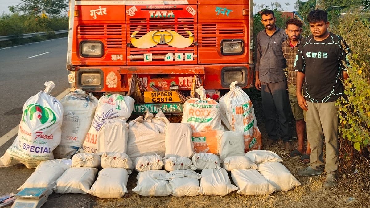 MP News: Police Recover 280 Kg Of Marijuana From Truck In Gwalior |