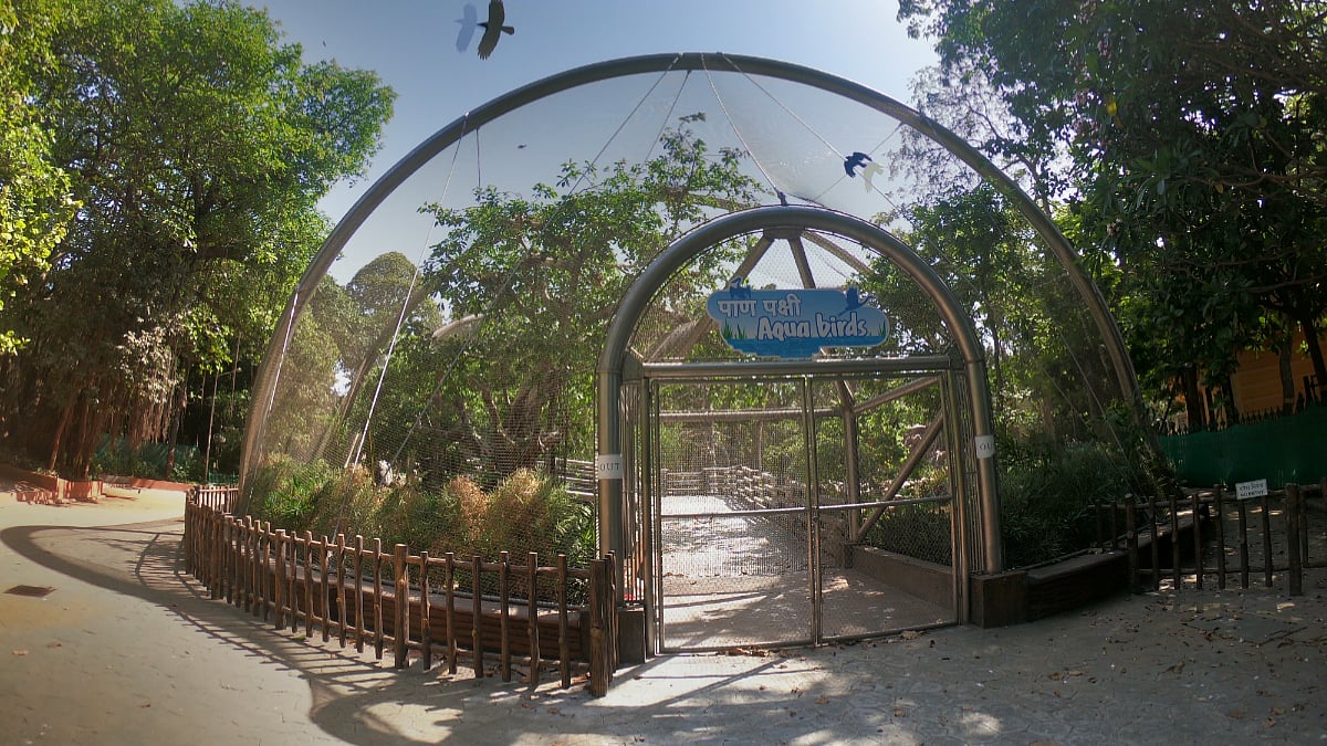 Mumbai News: BMC Extends Nahur West Bird Park Tender Deadline Amid Controversy Over Transparency And...