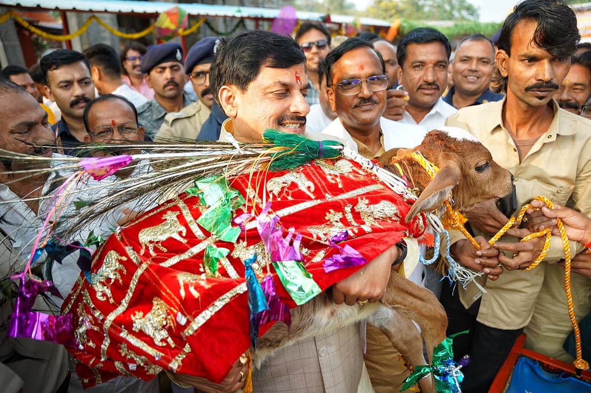 MP News: CM Mohan Yadav Performs Govardhan Puja At Tilkeshwar Temple; Celebrates Diwali With Mahakal...