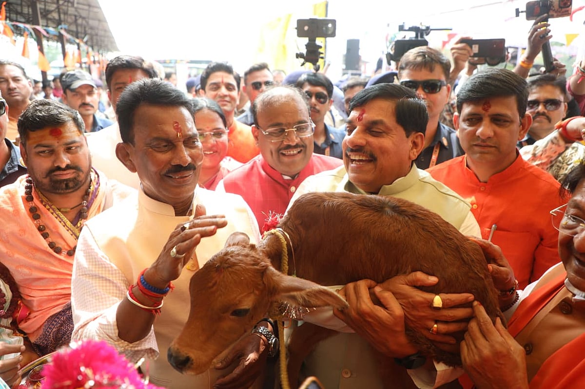 MP News: CM Mohan Yadav Bats For Cow Milk, Frowns On Eggs