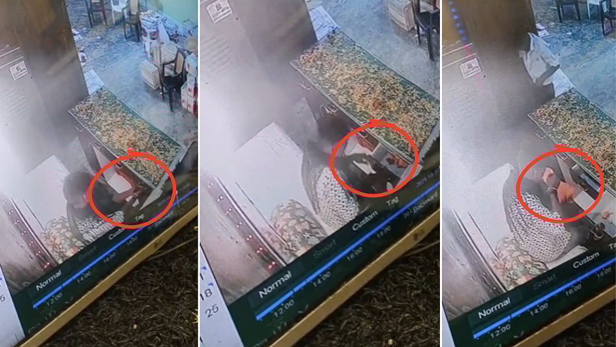 MP News: ₹2 Lakh Stolen In Broad Daylight From Jabalpur Fruit Trader's Shop, CCTV Captures Theft