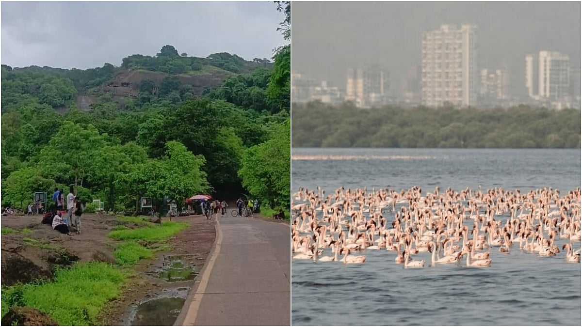 Mumbai ESZ Controversy: Draft Plan Favors Urban Development Over Conservation Of Sanjay Gandhi National Park And Thane Creek Flamingo Sanctuary