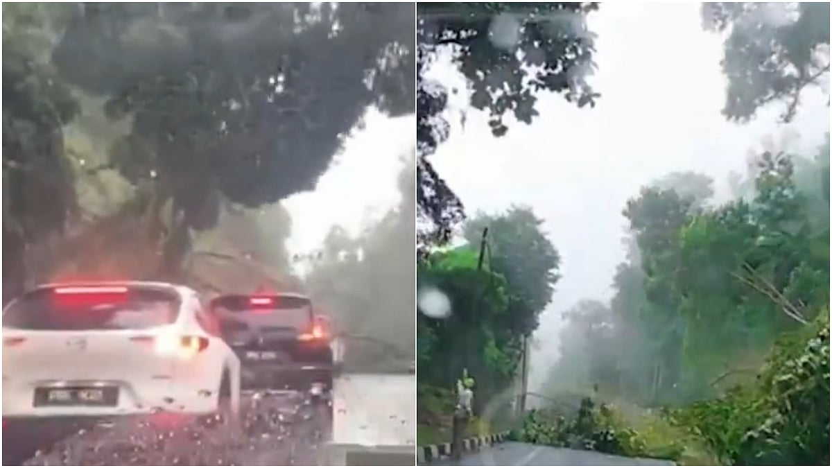 Malaysia Landslide: Scary Dashcam Video Shows Cars Narrowly Escaped Being Hit By Falling Rocks & Trees (Screengrab) | X/@accuweather