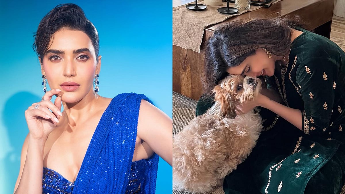 'Air Turns Grey, Pets Hide Under Bed': Karishma Tanna Speaks Out Against Firecrackers, Urges Fans To...