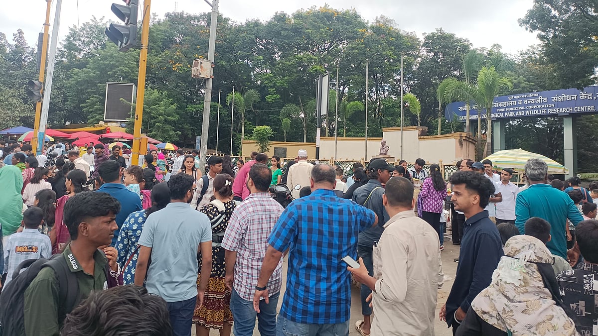 Pune: Heavy Weekend Rush Of Tourists Seen At Katraj Zoo As Diwali Holidays Come To An End - VIDEO
