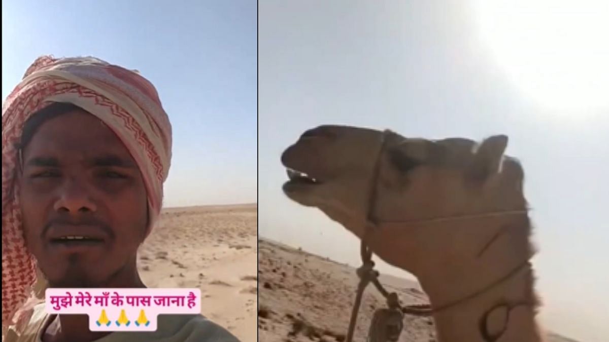 ‘Main Mar Jaunga’: UP Man Stuck In Saudi Desert With Camel Cries for Help; Saudi Security...