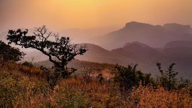 Madhya Pradesh October 25 2025, Weather Update: Sunny Days, Breezy Nights; Light Showers Likely In...