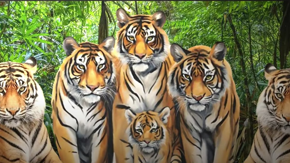 MP News: Forest Staff Begin Training For Tiger Estimation 2026 | 