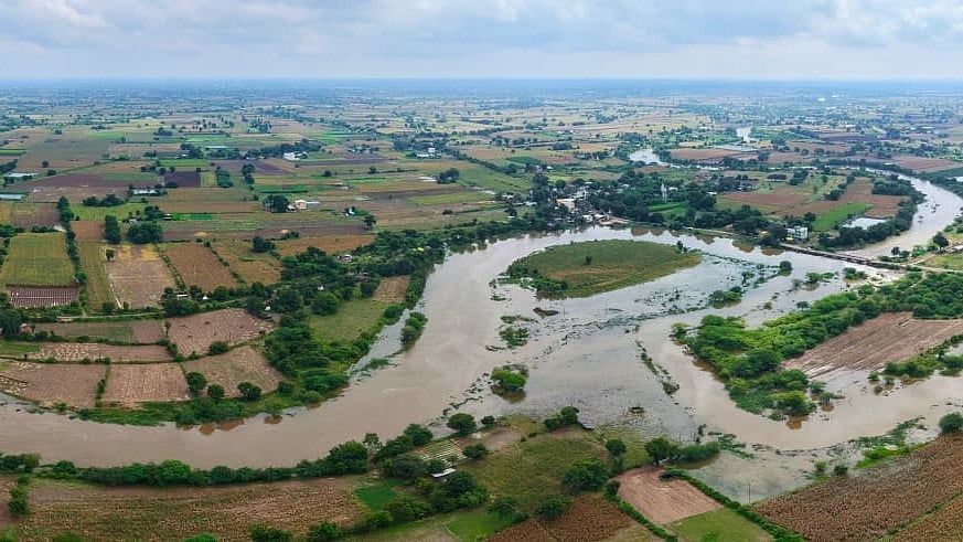 Nashik: Unseasonal Rains Destroy Crops In Niphad; Farmers Demand Compensation |