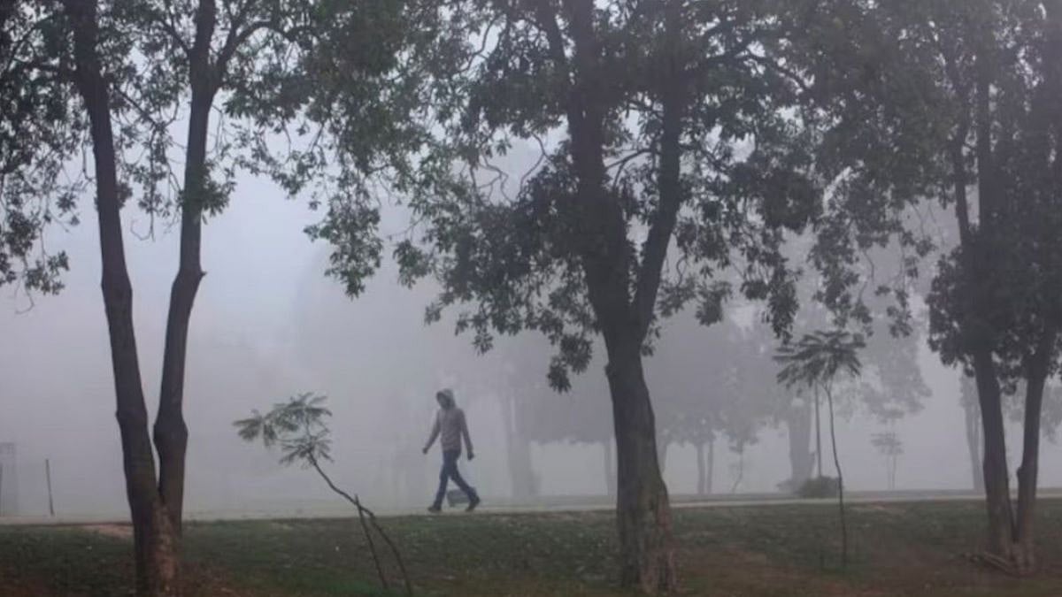 Pakistan: Lahore Tops World's Pollution Chart As AQI Reaches Hazardous 412; Authorities Launch...