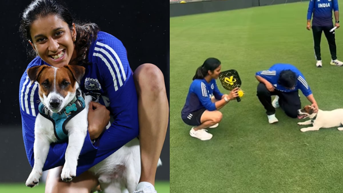 Adorable Moment! Jemimah Rodrigues' Dog 'Jade' Steals The Spotlight During Training Session Amid ICC Women's World Cup 2025; Video