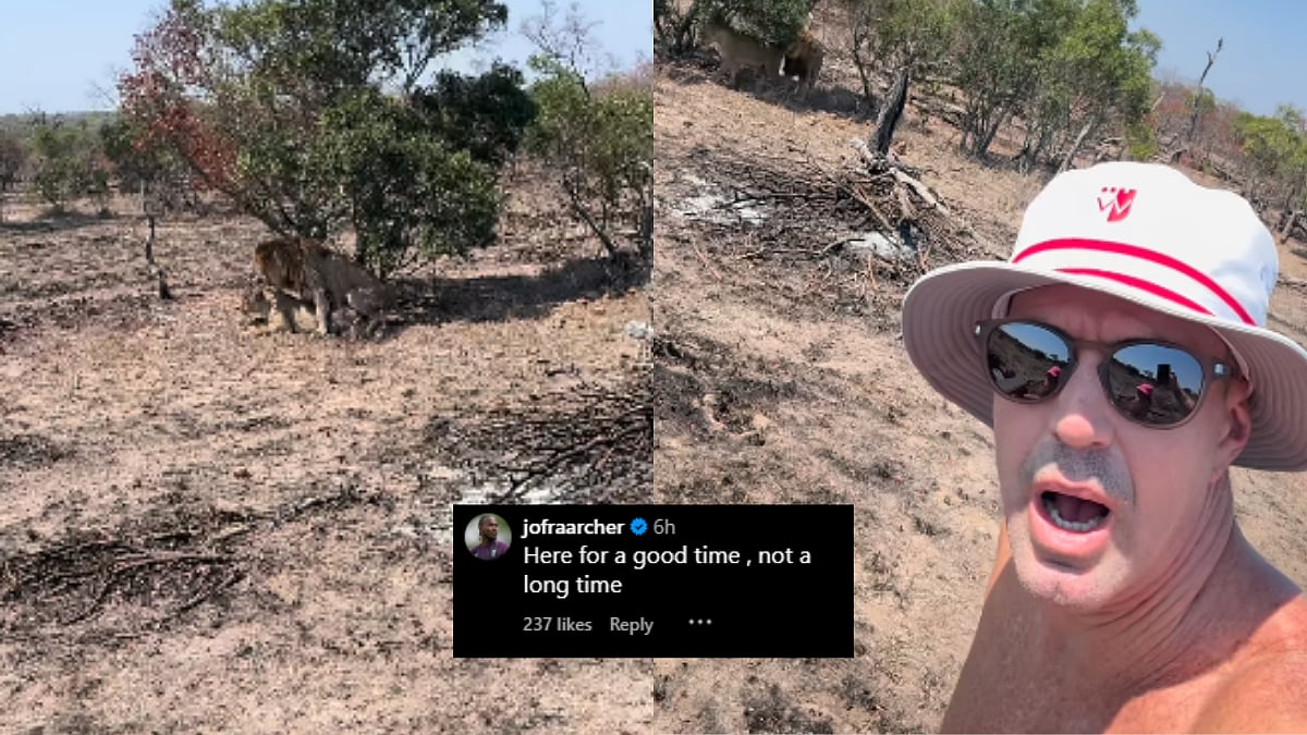 Kevin Pietersen Shares 'Magical' Moments Of 'Lions Mating' During His Wild Safari, Jofra Archer Reacts; Internet Can't Stop Laughing
