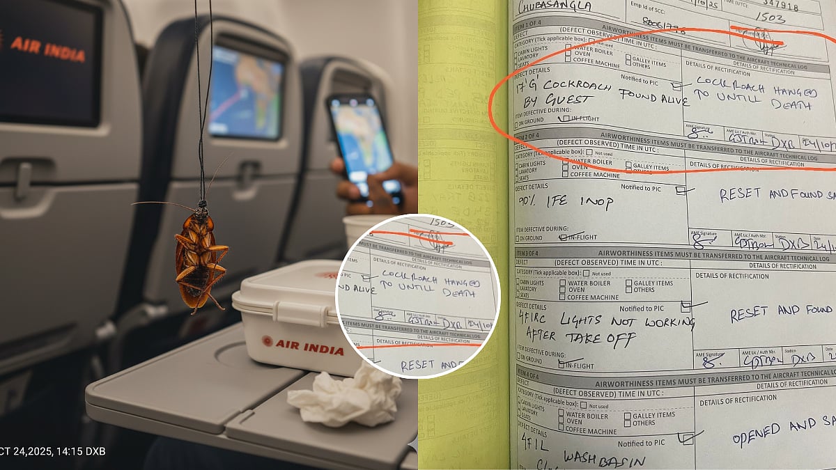 'Hanged Until Death': Air India's 'Action' After Cockroach Spotted On Delhi-Dubai Flight Leaves Netizens In Splits