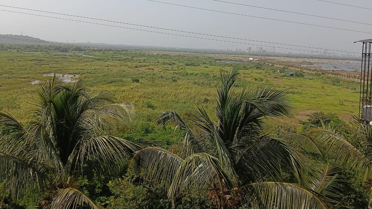 Maharashtra National Law University Floats EOI For Its Greenfield Campus In Goregaon,...