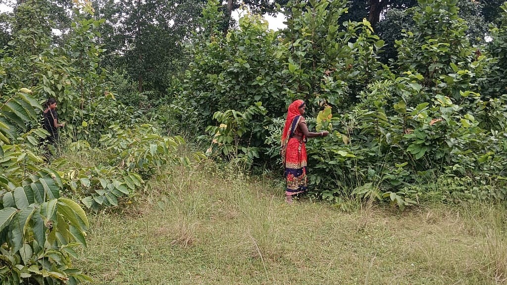 Tribal Outrage Erupts Over Adani Land Acquisition Bid In Chhattisgarh's Scheduled Area