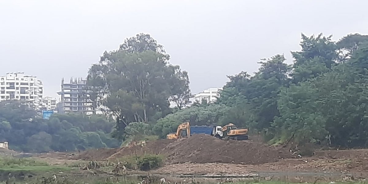 Supreme Court Committee Stops Tree Cutting, Construction Along Pune’s Rivers