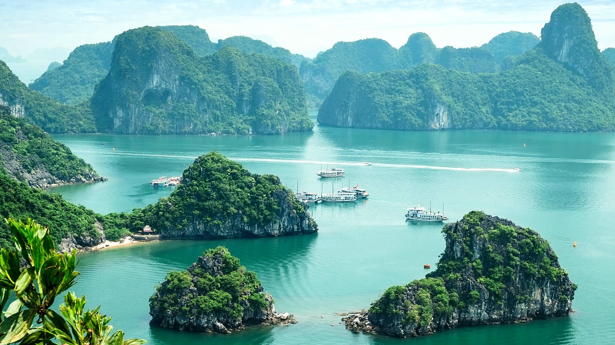 Indian Gen-Z Couples Are Skipping Switzerland For Honeymoon In Vietnam, Dubai & Bali: Here's Why