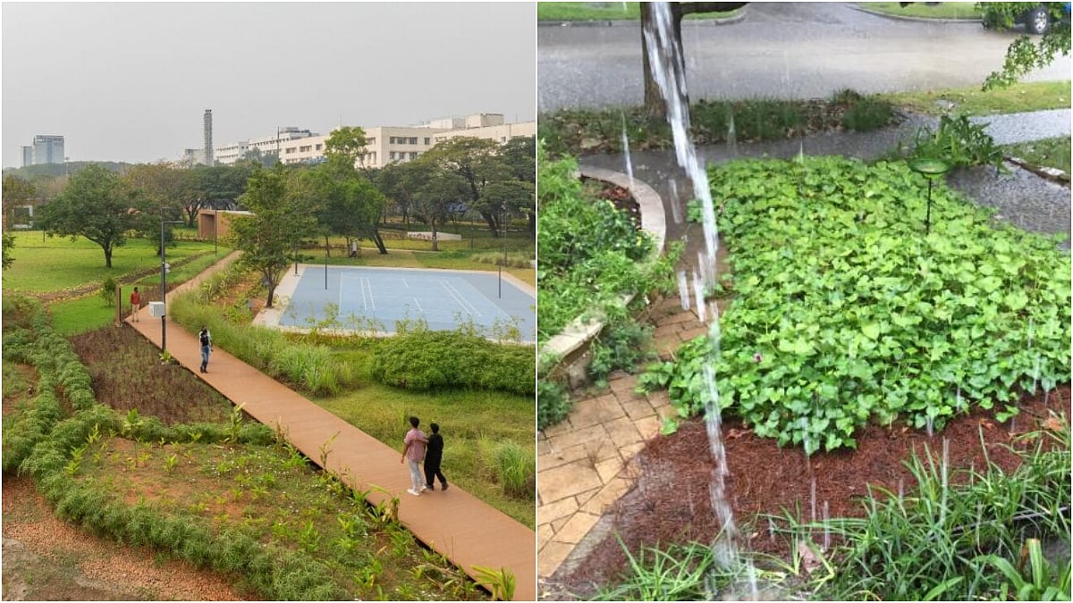 Mumbai News: BMC To Create 164 ‘Sponge Parks’ Across City To Tackle Flooding And Recharge Groundwater