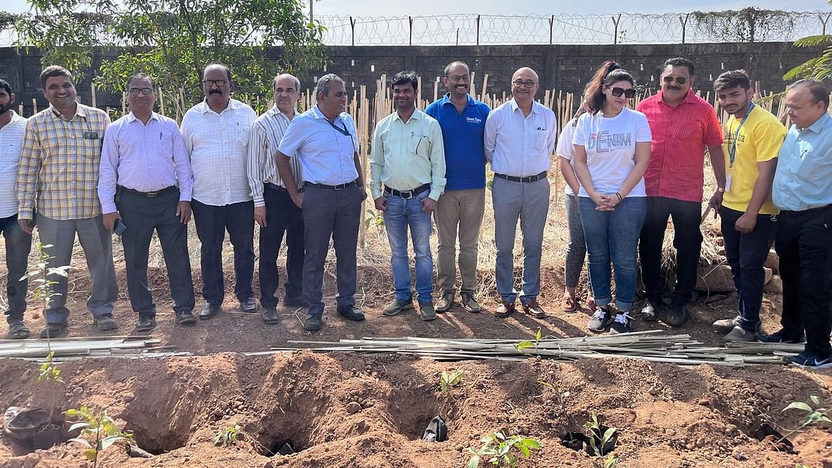 'Urban Oasis': JNPA’s Miyawaki Forest Transforms Barren Land Into Lush Green Haven