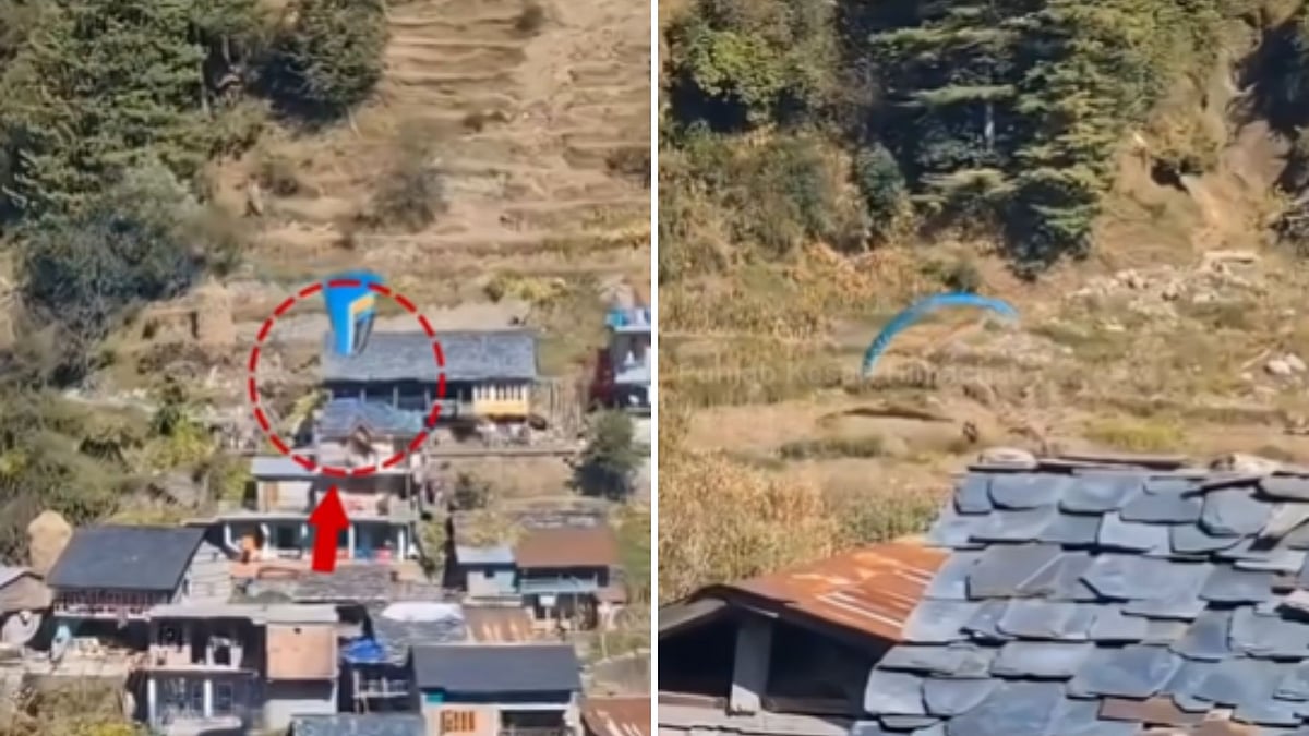 Paraglider Survives Dramatic Crash Landing In Himachal's Barot Valley; Shocking Moment Caught On Camera | WATCH