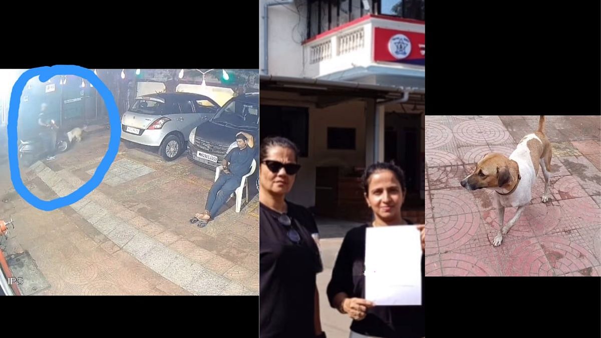 Horrifying Video: Mira Road Housing Society Resident Runs Two-Wheeler Over Sleeping Dog's Leg, FIR Filed