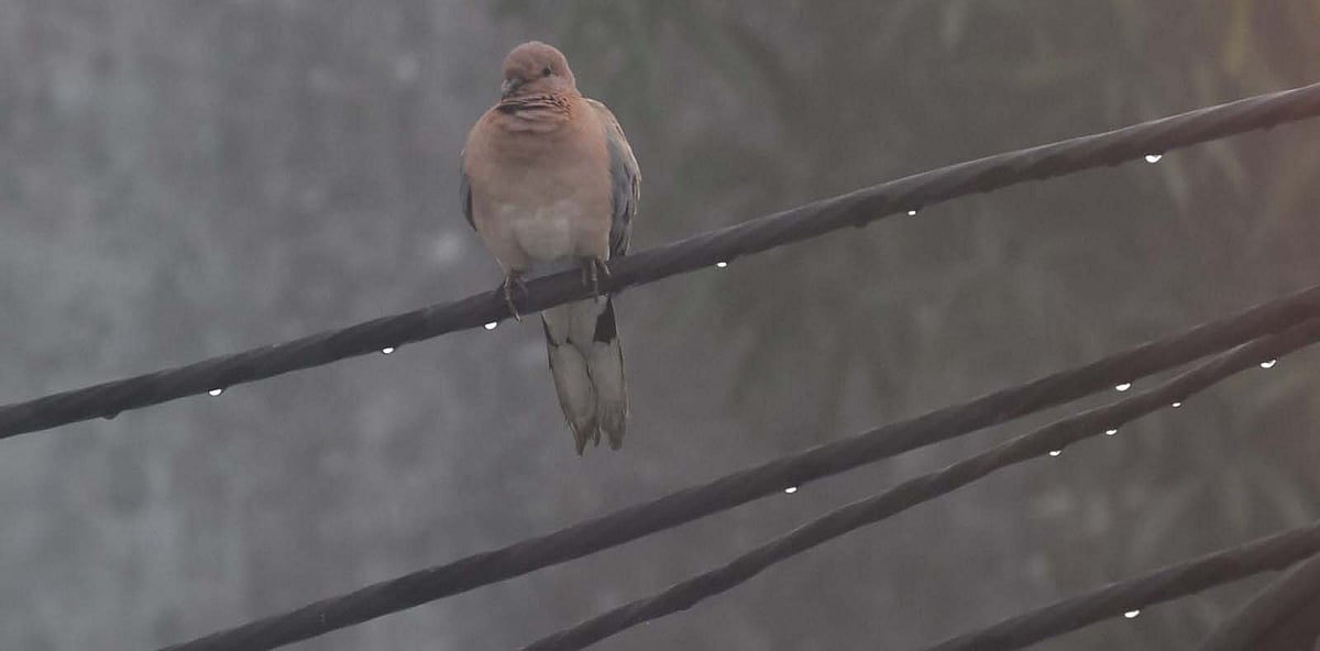 Madhya Pradesh October 30, 2025, Weather Updates: Cyclone ‘Montha’  Brings Rain, Cool Winds To...
