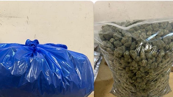 Mumbai Airport Customs Recover Exotic Animals & ₹8 Crore Drugs In 2 Cases