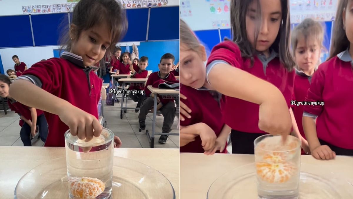 Brain-Teasing Classroom Experiment Goes Viral: Can You Remove The Orange Without Spilling Water? 