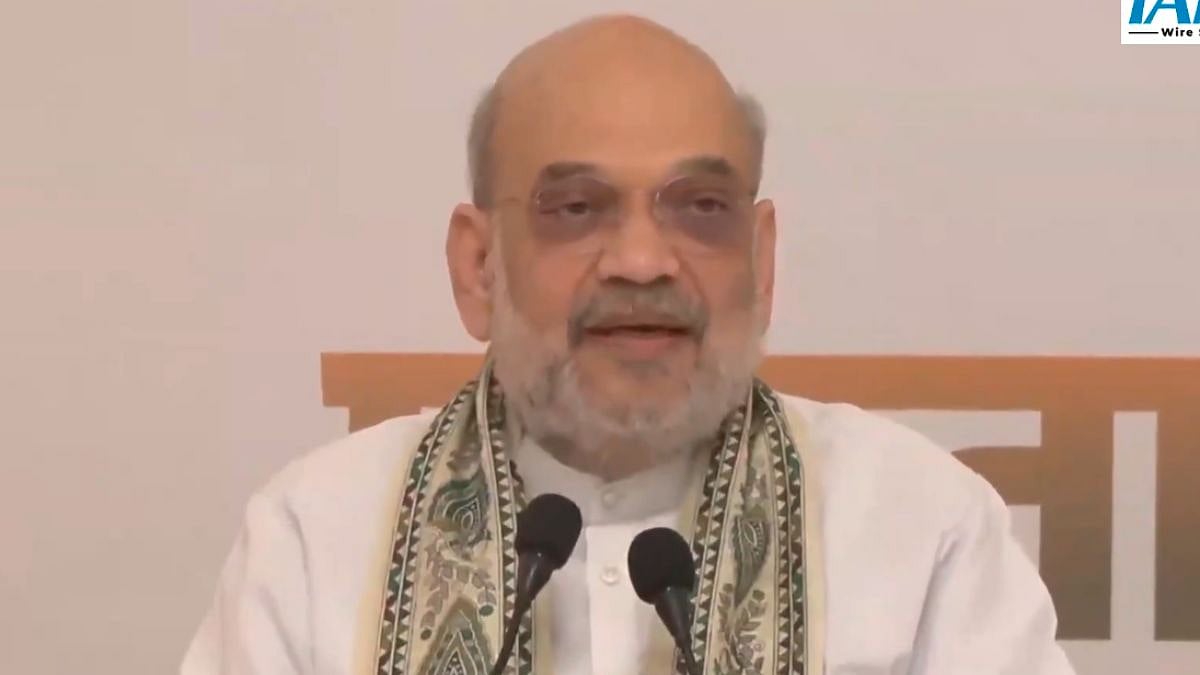'Congress Took 41 Years To Honour Sardar Patel, PM Modi Restored His Dignity With Statue Of Unity': Union HM Amit Shah