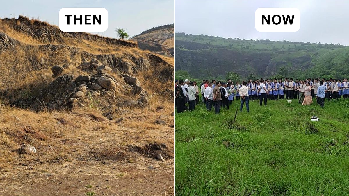 Indore News: World Cities Day Today; From Barren Mining Pit Into A Thriving 'City Forest'