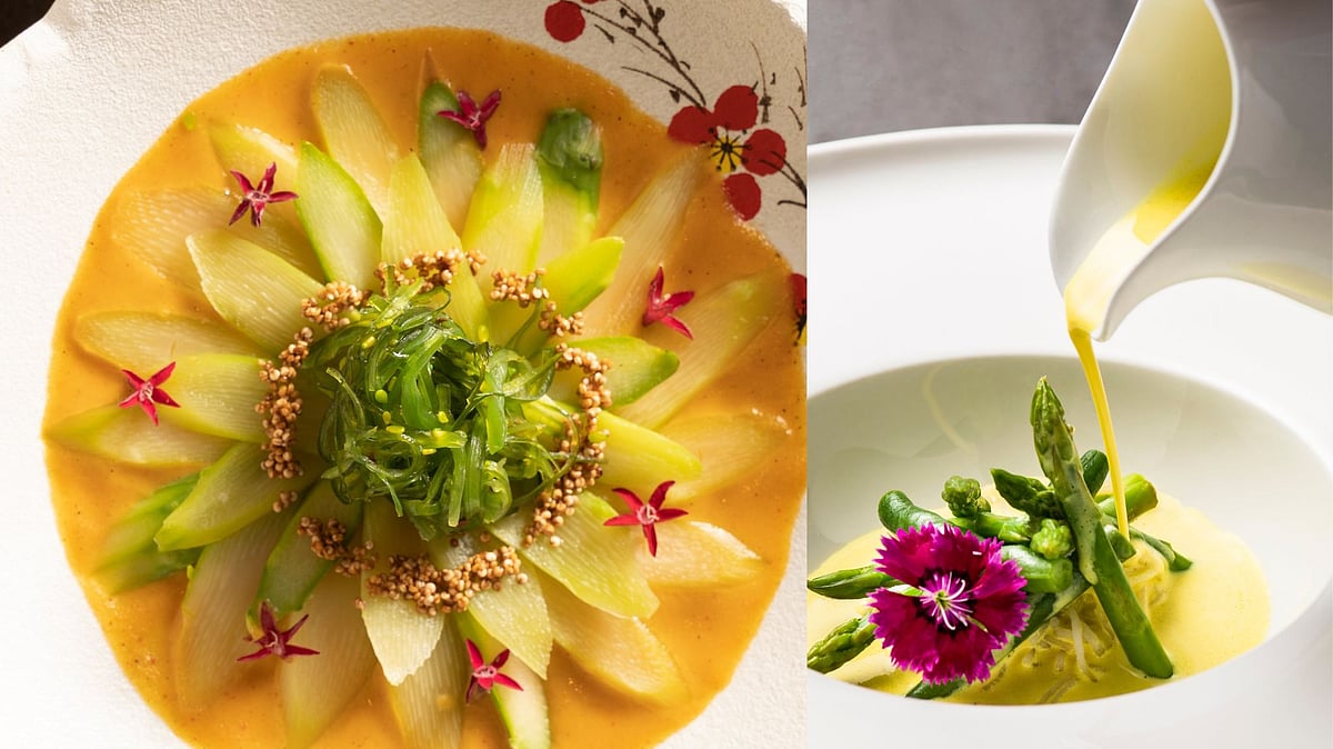 World Vegan Day 2025: Can You Resist These Food Pics? 