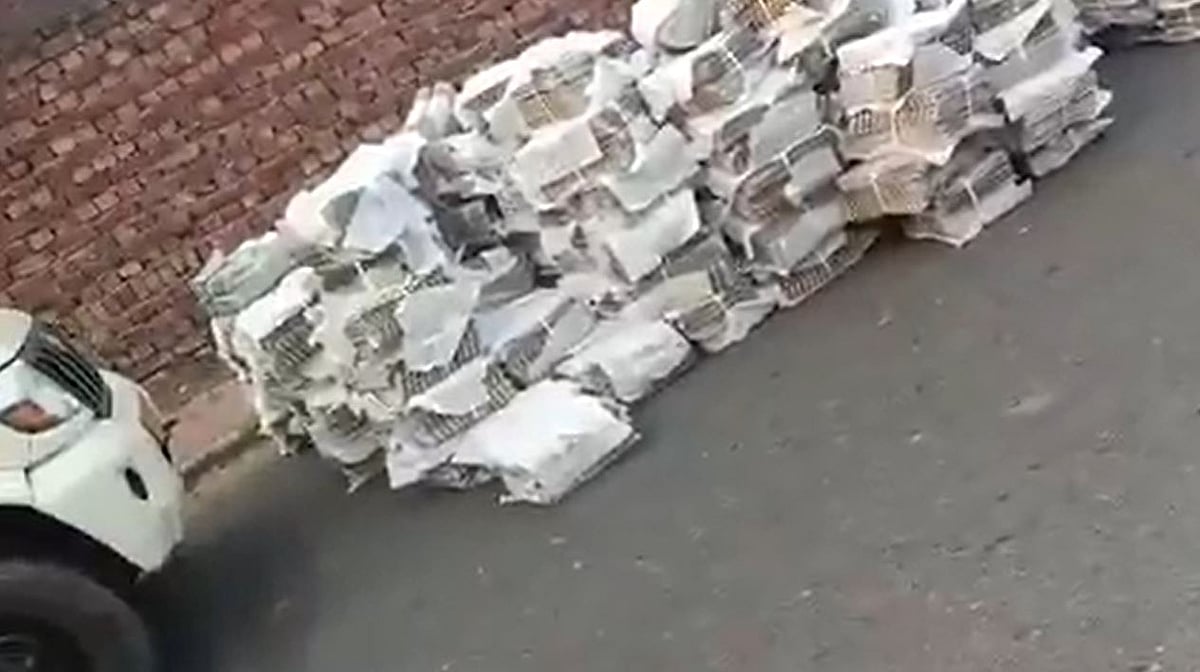 Punjab News: Newspaper Deliveries Delayed After Police Vehicle Checks, Opposition Slams AAP Govt - VIDEO 