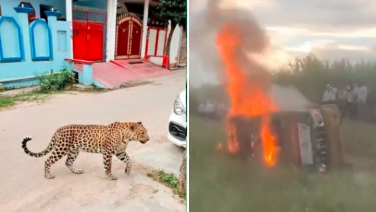 After 13-Year-Old’s Killing In Leopard Attack, Pune Forest Officials Order Capture And Elimination Of The Big Cat 
